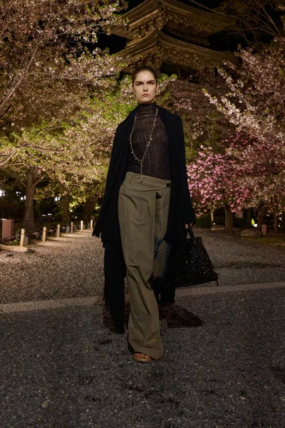 Look 33